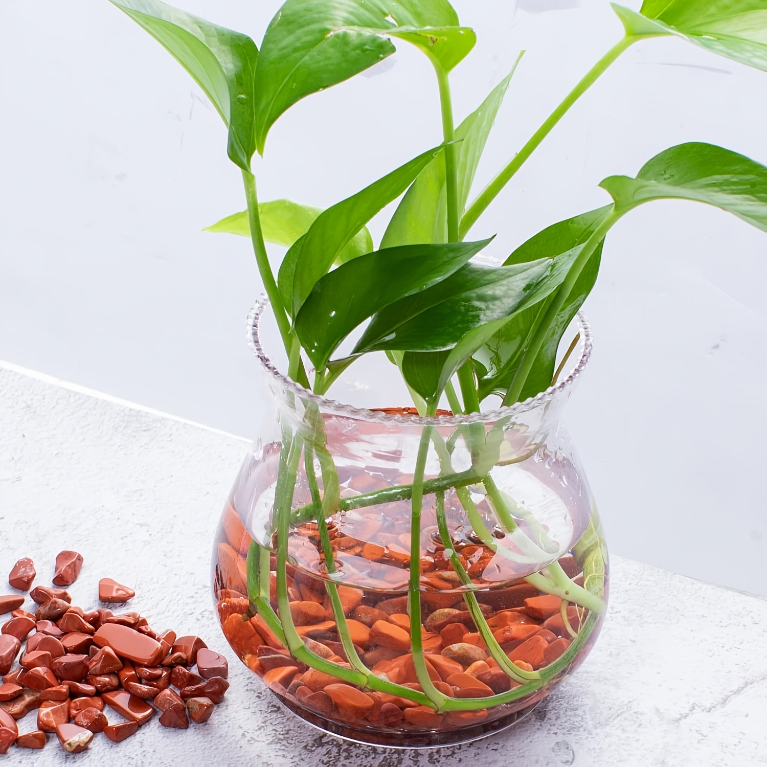 Red jasper tumbled stone -natu - Aquarium Marine Stone review and price