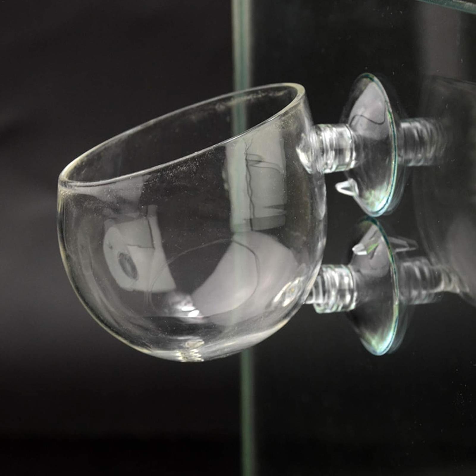 Aquarium Plant Holder Glass Aq - Marine Aquarium Live review and price
