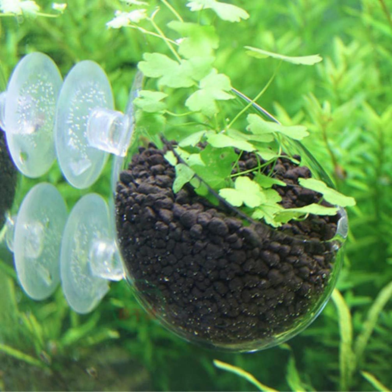 Aquarium Plant Holder Glass Aq - Marine Aquarium Live review and price