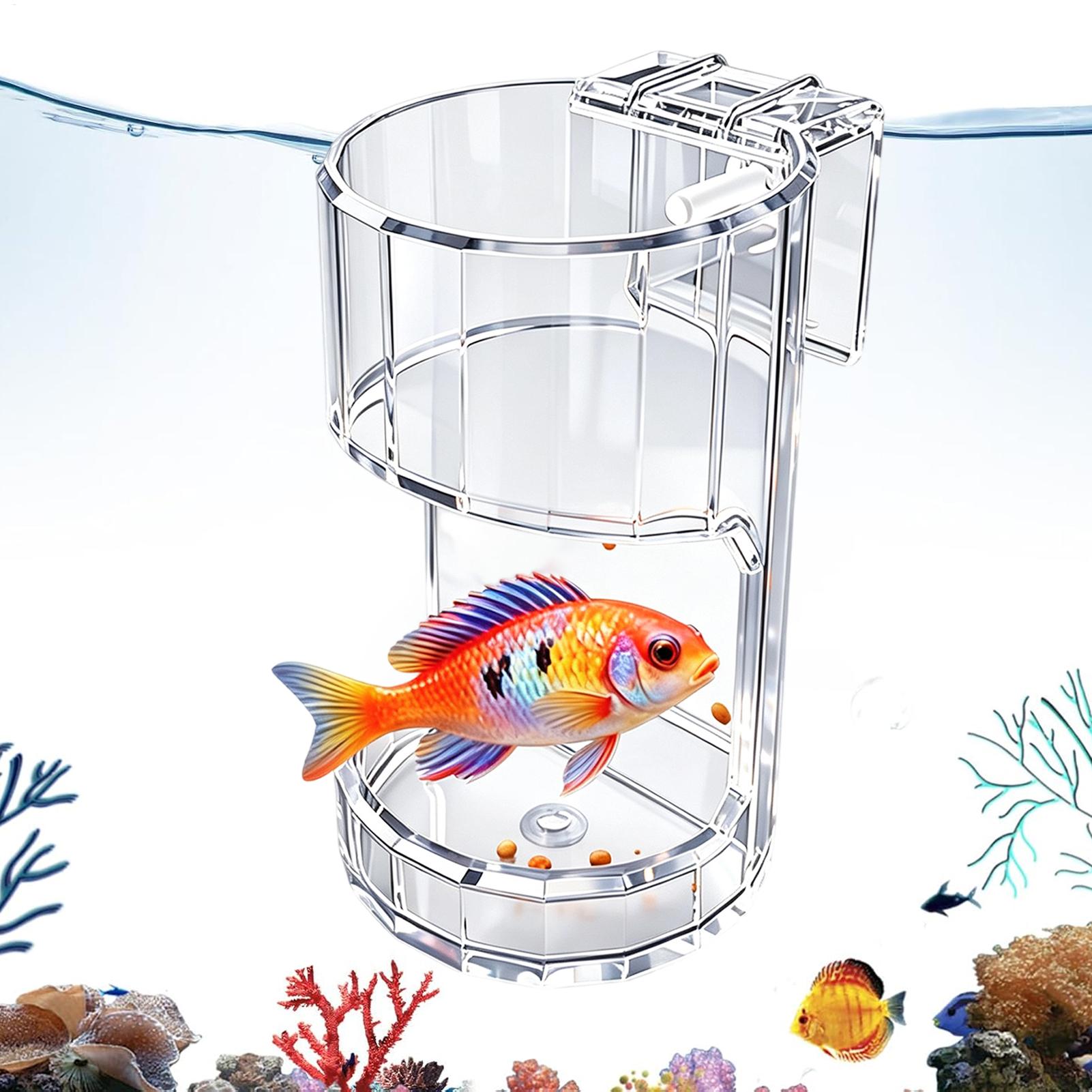 Aquarium Feeding Dish Transpar - Marine Aquarium Live review and price