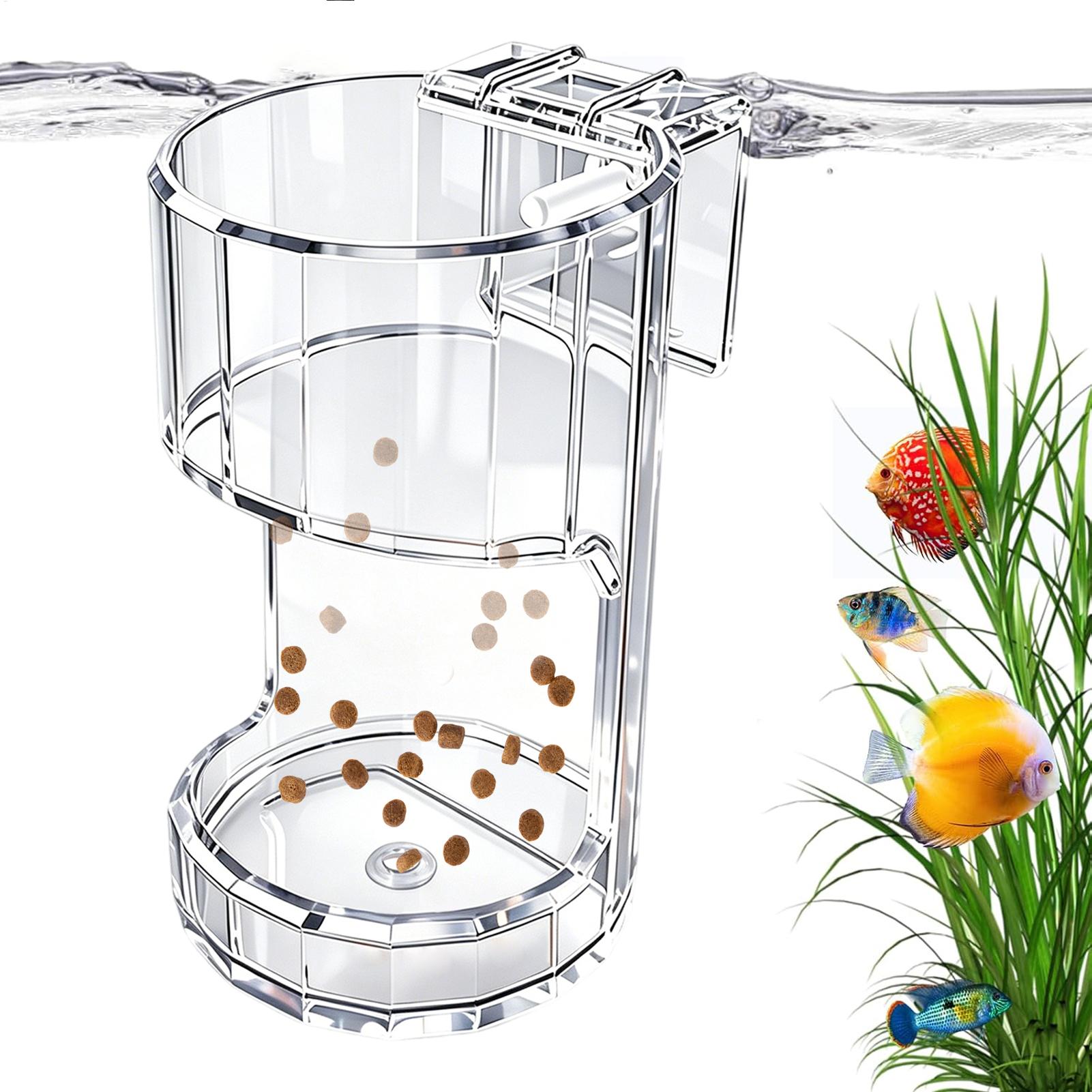 Aquarium Feeding Dish Transpar - Marine Aquarium Live review and price