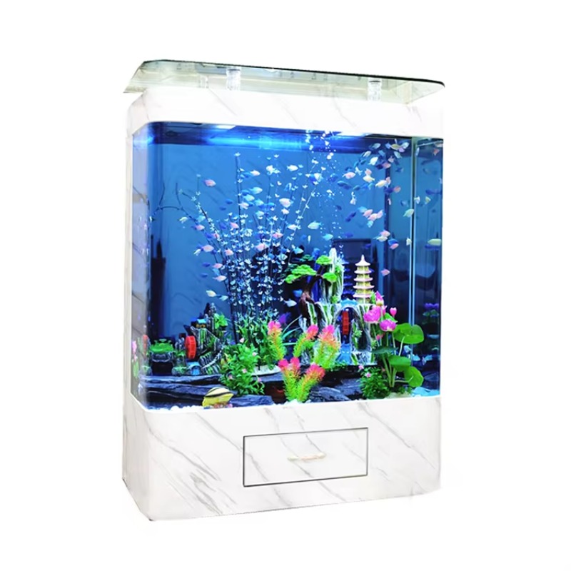 Marine 200 Gallon Glass Fish A - Marine Aquarium Live review and price