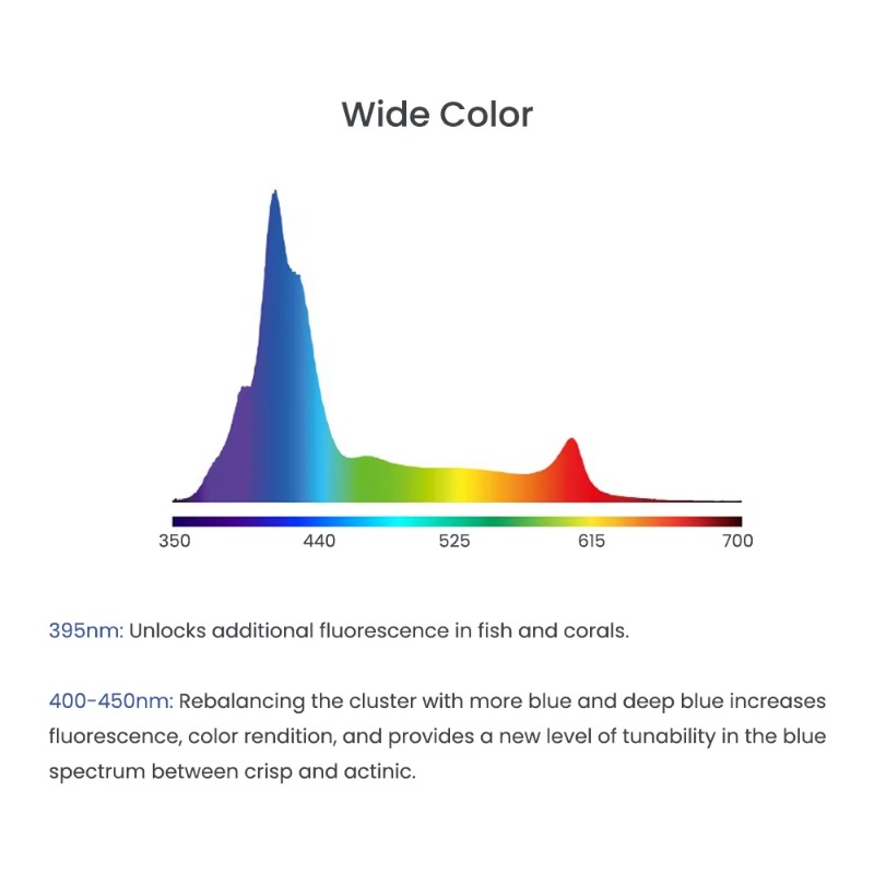 Blue 240W LEDs Full Spectrum W - Aquarium Blue Marine Reef review and price