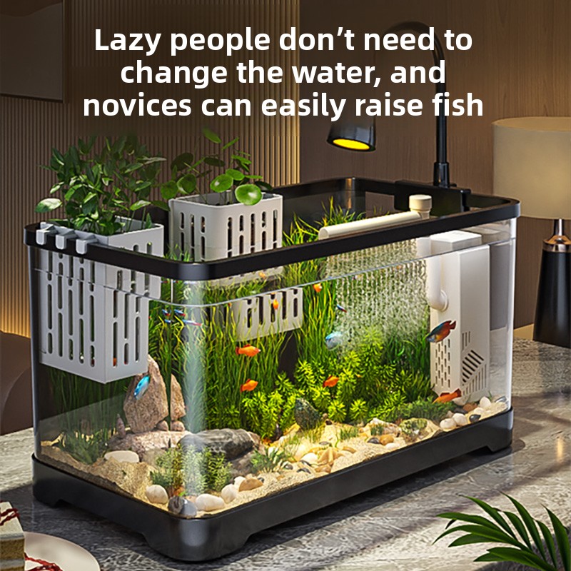 2026 All-in-One Aquarium Filte - Marine Aquarium Live review and price