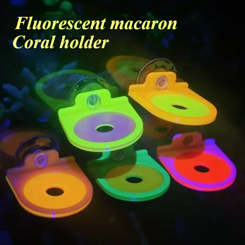 Color Random Coral Frag Holder - Marine Aquarium Live review and price