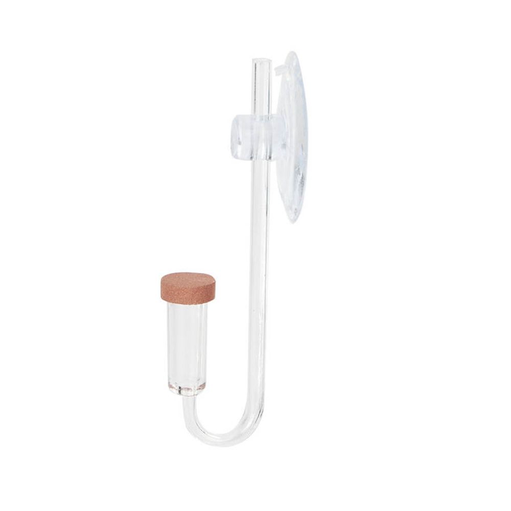 Acrylic Mini Fish Tank Live Pl - Marine Aquarium Live review and price